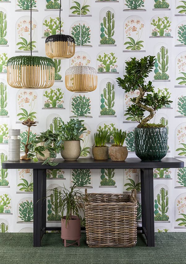 decorar con plantas espacios interiores