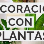 decorar con plantas espacios interiores2