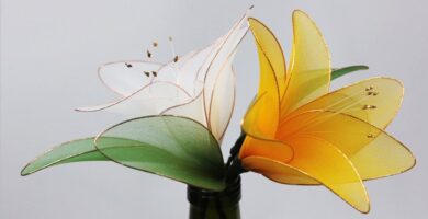 flores con medias de nylón